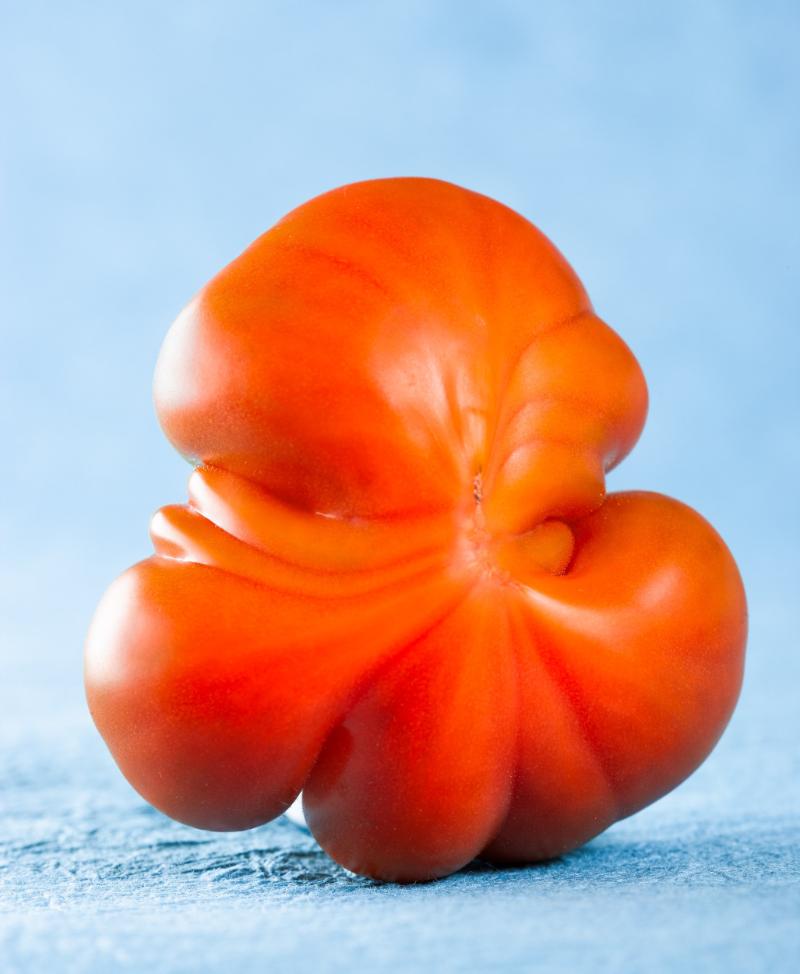 Un tomate