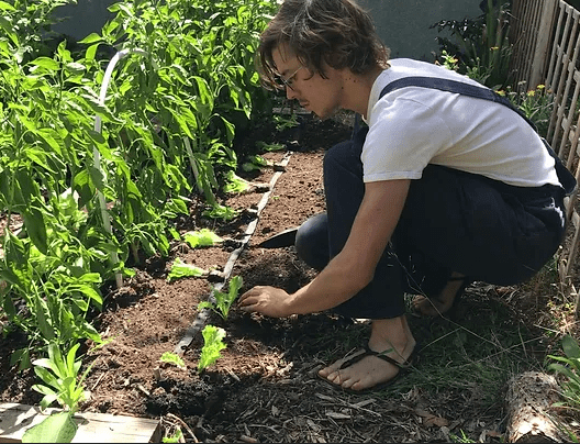 El chico plantando una planta en DandoFruto