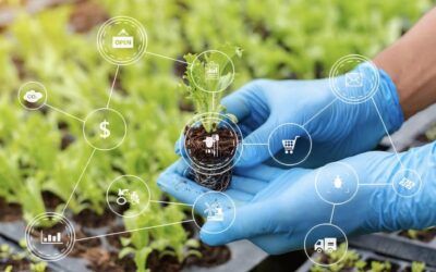 Alimentandonos con una nueva mentalidad regenerativa