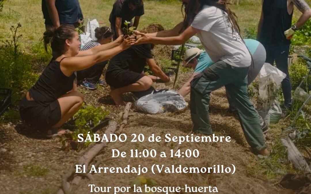 Encuentro R CoNéctar