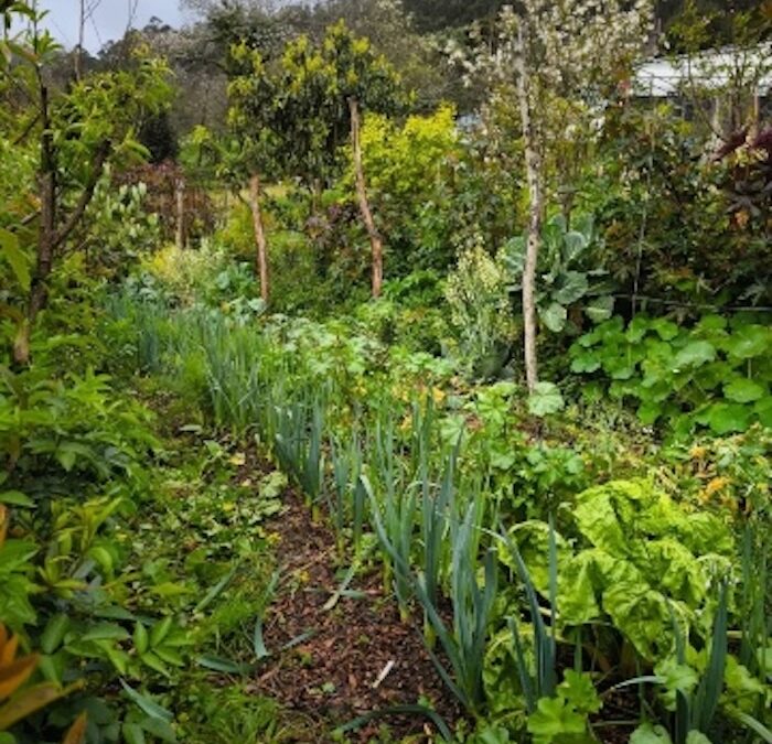 Agricultura regenerativa y gestión del territorio