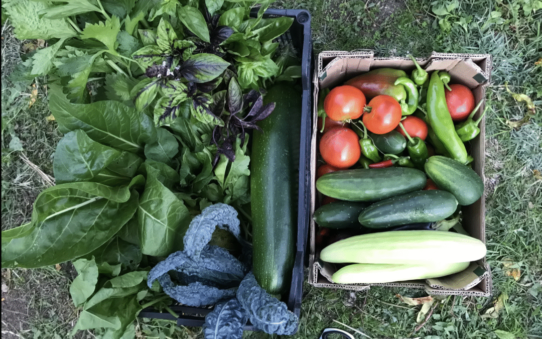 Agricultura regenerativa y gestión del territorio