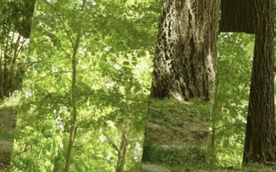 Tiñó su pupila en verde