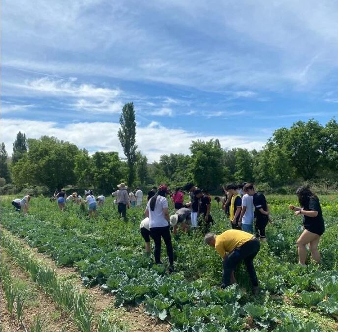 Agricultura regenerativa y gestión del territorio